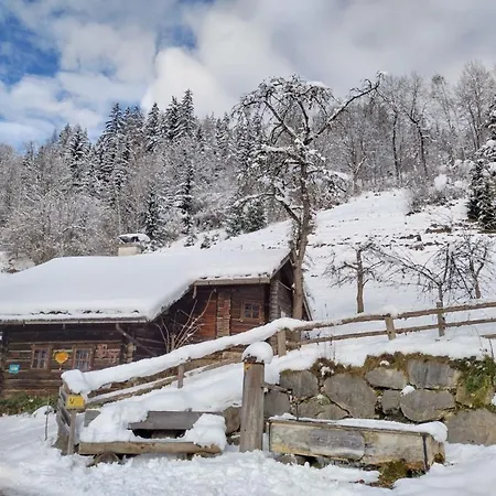 Zetzenberghütte Nähe Skiwelt Amadé Schladming