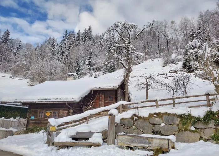 Zetzenberghütte Nähe Skiwelt Amadé Schladming