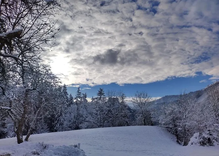 Zetzenberghütte Nähe Skiwelt Amadé *