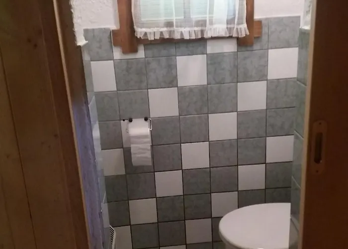 Zetzenberghütte Nähe Skiwelt Amadé * Schladming